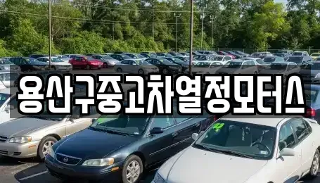 서울특별시 중구 봉래동2가 중고차매매 전문 용산구중고차열정모터스