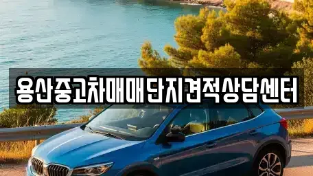 서울특별시 중구 봉래동2가 중고차매매 전문 용산중고차매매단지견적상담센터