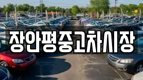 서울특별시 중구 봉래동2가 중고차매매 전문 장안평중고차시장