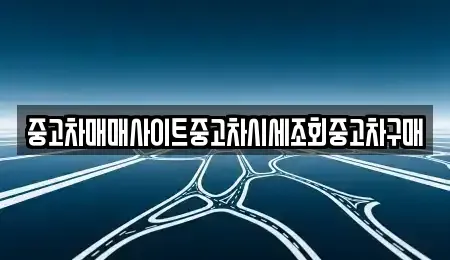 서울특별시 중구 봉래동2가 중고차매매 전문 중고차매매사이트중고차시세조회중고차구매