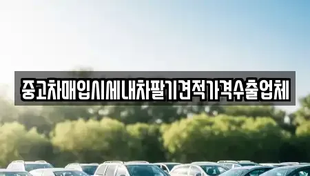 서울특별시 중구 봉래동2가 중고차매입 전문 중고차매입시세내차팔기견적가격수출업체