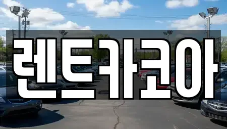 서울특별시 중구 필동1가 렌트카 전문 렌트카코아