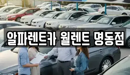 서울특별시 중구 필동1가 렌트카 전문 알파렌트카 월렌트 명동점
