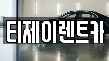서울특별시 중구 필동1가 렌트카 전문 티제이렌트카
