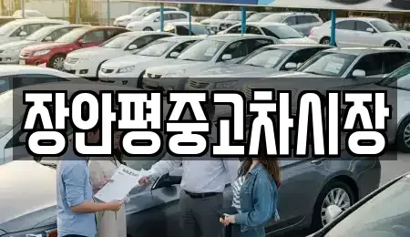 서울특별시 중구 필동1가 중고차매매 전문 장안평중고차시장
