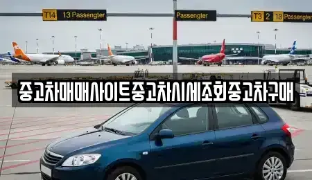 서울특별시 중구 필동1가 중고차매매 전문 중고차매매사이트중고차시세조회중고차구매