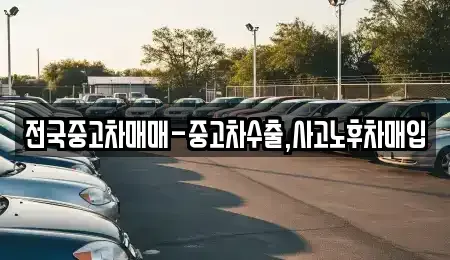 서울특별시 중구 필동1가 중고차매입 전문 전국중고차매매-중고차수출,사고노후차매입