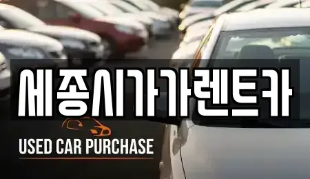 세종 장군면 단기렌트카,중고차매입,중고차매매,중고차,렌트카,장기렌트카