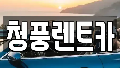 세종 장군면 렌트카 전문 청풍렌트카