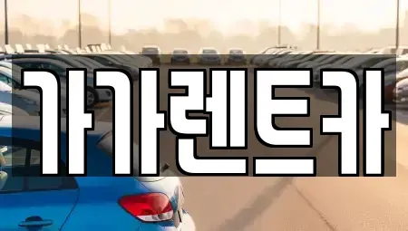 세종 장군면 장기렌트카 전문 가가렌트카