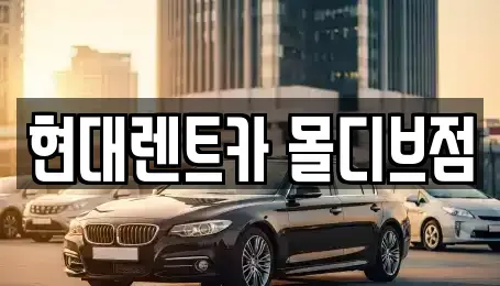 세종 장군면 장기렌트카 전문 현대렌트카 몰디브점
