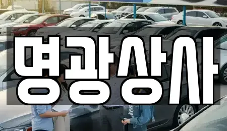 세종 장군면 중고차매매 전문 명광상사