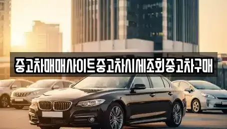 세종 장군면 중고차매매 전문 중고차매매사이트중고차시세조회중고차구매