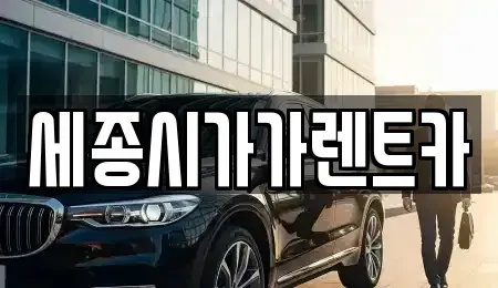 세종특별자치시 금남면 단기렌트카 전문 세종시가가렌트카