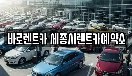 세종특별자치시 금남면 렌트카 전문 바로렌트카 세종시렌트카예약소