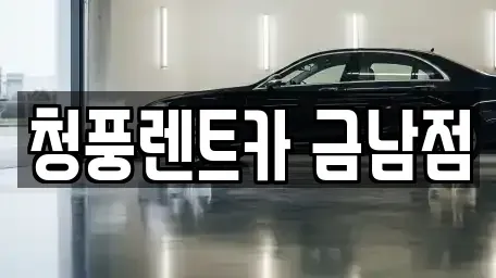 세종특별자치시 금남면 렌트카 전문 청풍렌트카 금남점