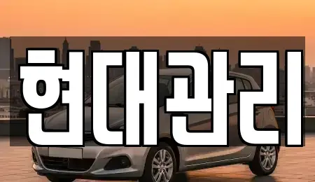 세종특별자치시 금남면 렌트카 전문 현대관리