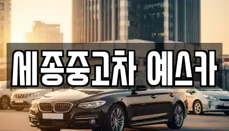 세종특별자치시 금남면 중고차매매 전문 세종중고차 예스카