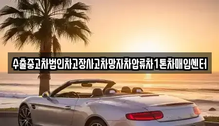 세종특별자치시 금남면 중고차매입 전문 수출중고차법인차고장사고차망자차압류차1톤차매입센터