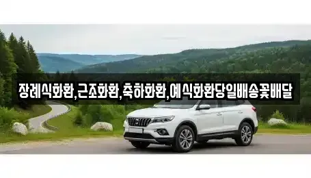 울산 북구 양정동 중고차 전문 장례식화환,근조화환,축하화환,예식화환당일배송꽃배달