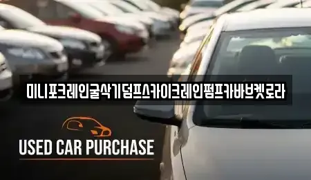 울산 북구 정자동 중고차 전문 미니포크레인굴삭기덤프스카이크레인펌프카바브켓로라