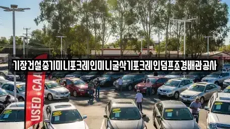 울산광역시 남구 고사동 중고차 전문 기장건설중기미니포크레인미니굴삭기포크레인덤프조경배관공사