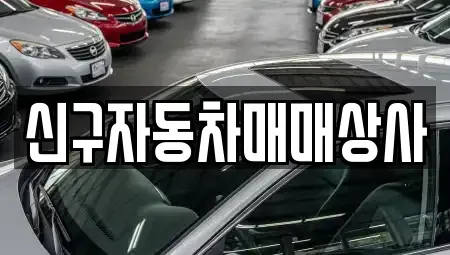 울산광역시 남구 고사동 중고차 전문 신구자동차매매상사
