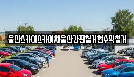 울산광역시 남구 고사동 중고차 전문 울산스카이스카이차울산간판철거현수막철거