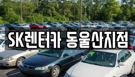 울산광역시 동구 방어동 렌트카 전문 SK렌터카 동울산지점