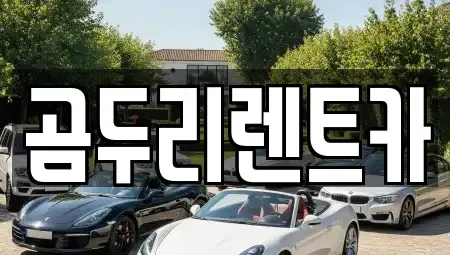 울산광역시 동구 방어동 렌트카 전문 곰두리렌트카