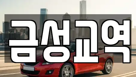 울산광역시 울주군 청량읍 렌트카 전문 금성교역