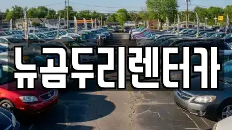 울산광역시 울주군 청량읍 렌트카 전문 뉴곰두리렌터카