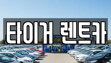 울산광역시 울주군 청량읍 렌트카 전문 타이거 렌트카