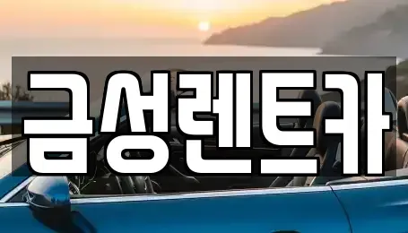 울산광역시 중구 렌트카 전문 금성렌트카