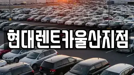 울산광역시 중구 렌트카 전문 현대렌트카울산지점