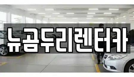 울산광역시 중구 장기렌트카 전문 뉴곰두리렌터카