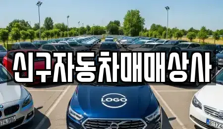 울산광역시 중구 중고차매매 전문 신구자동차매매상사