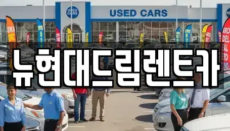 인천 계양구 장기동 렌트카 전문 뉴현대드림렌트카