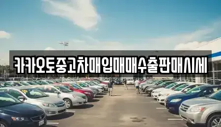 인천 계양구 장기동 중고차 전문 카카오토중고차매입매매수출판매시세