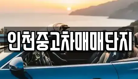 인천 미추홀구 중고차 전문 인천중고차매매단지