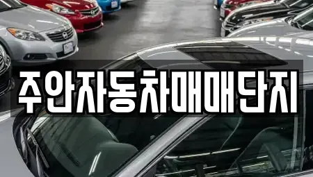 인천 미추홀구 중고차 전문 주안자동차매매단지