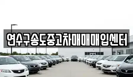 인천 연수구 송도동 중고차 전문 연수구송도중고차매매매입센터