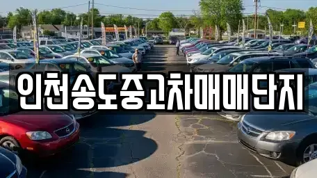 인천 연수구 송도동 중고차 전문 인천송도중고차매매단지