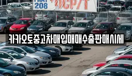 인천 중구 신흥동2가 중고차매입 전문 카카오토중고차매입매매수출판매시세