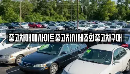 인천 중구 항동7가 중고차매매 전문 중고차매매사이트중고차시세조회중고차구매