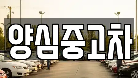 인천광역시 계양구 상야동 중고차 전문 양심중고차