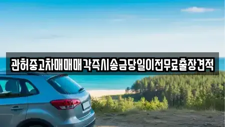 인천광역시 계양구 상야동 중고차매매 전문 관허중고차매매매각즉시송금당일이전무료출장견적