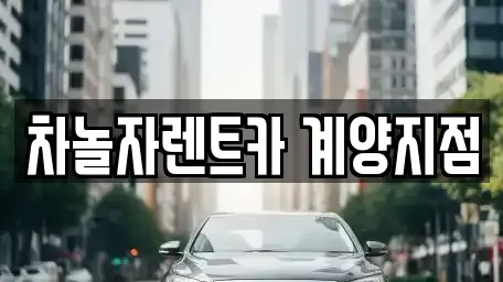 인천광역시 계양구 서운동 단기렌트카 전문 차놀자렌트카 계양지점