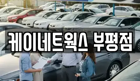 인천광역시 계양구 효성동 장기렌트카 전문 케이네트웍스 부평점