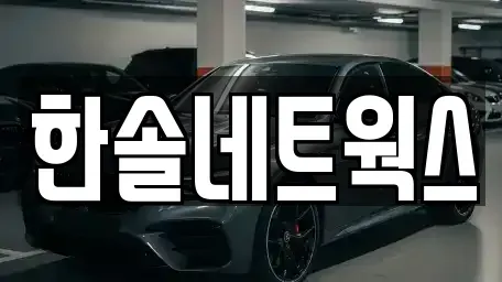 인천광역시 계양구 효성동 장기렌트카 전문 한솔네트웍스